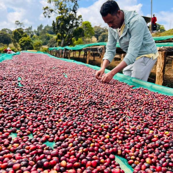 Flexible Order and Contract Solutions